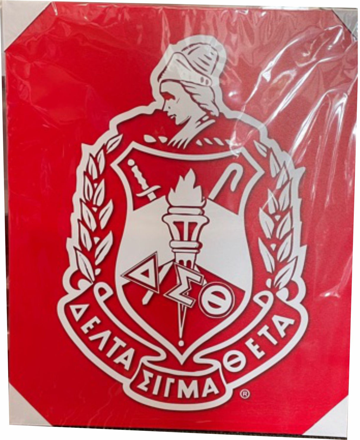 Delta Large Red Crest Canvas