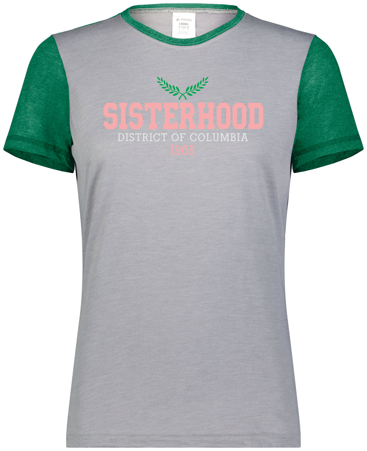 AKA Sisterhood DC Tee