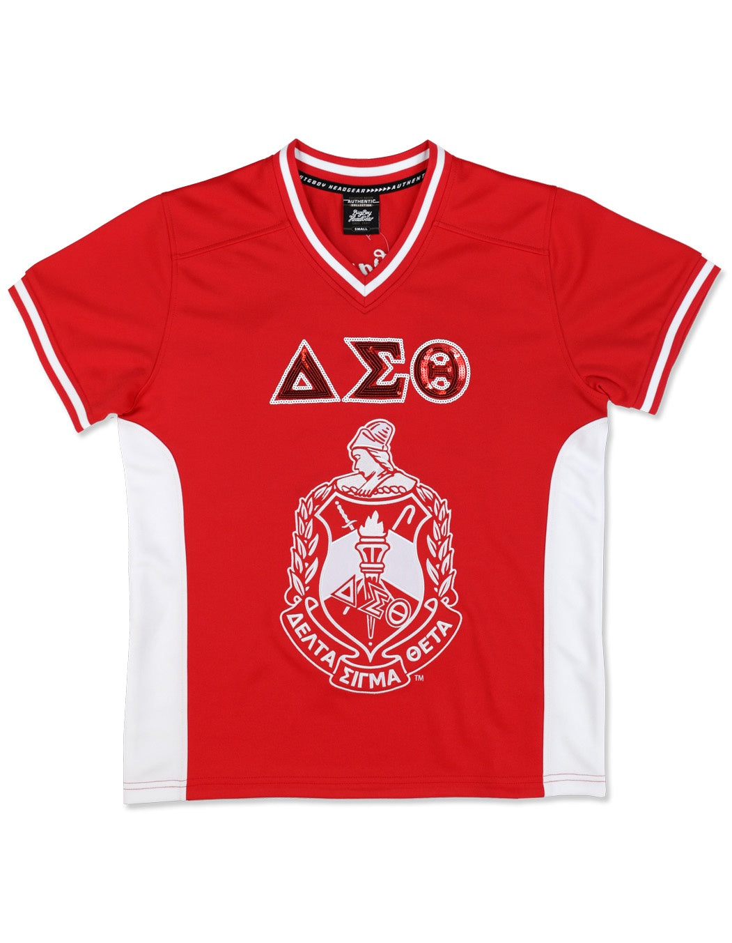 Delta Sigma Theta Greek Sorority Football Jersey