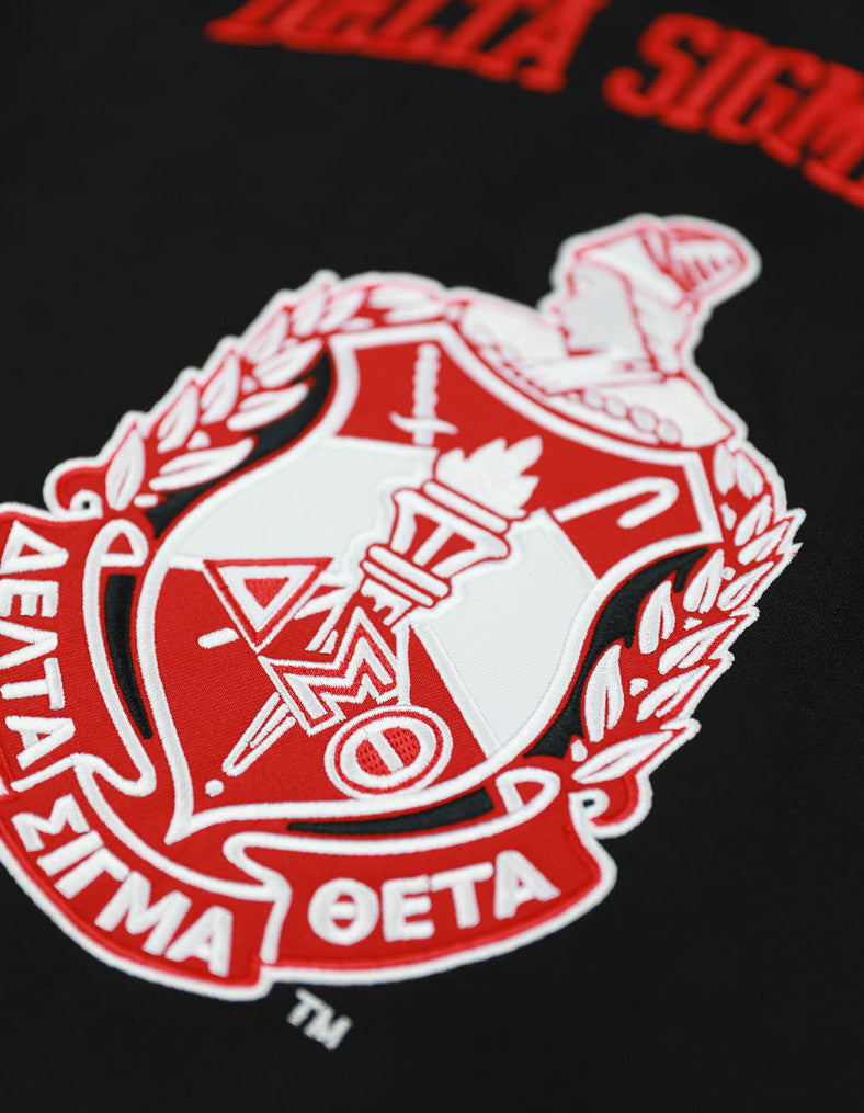 Delta Embroidered Crest Jersey