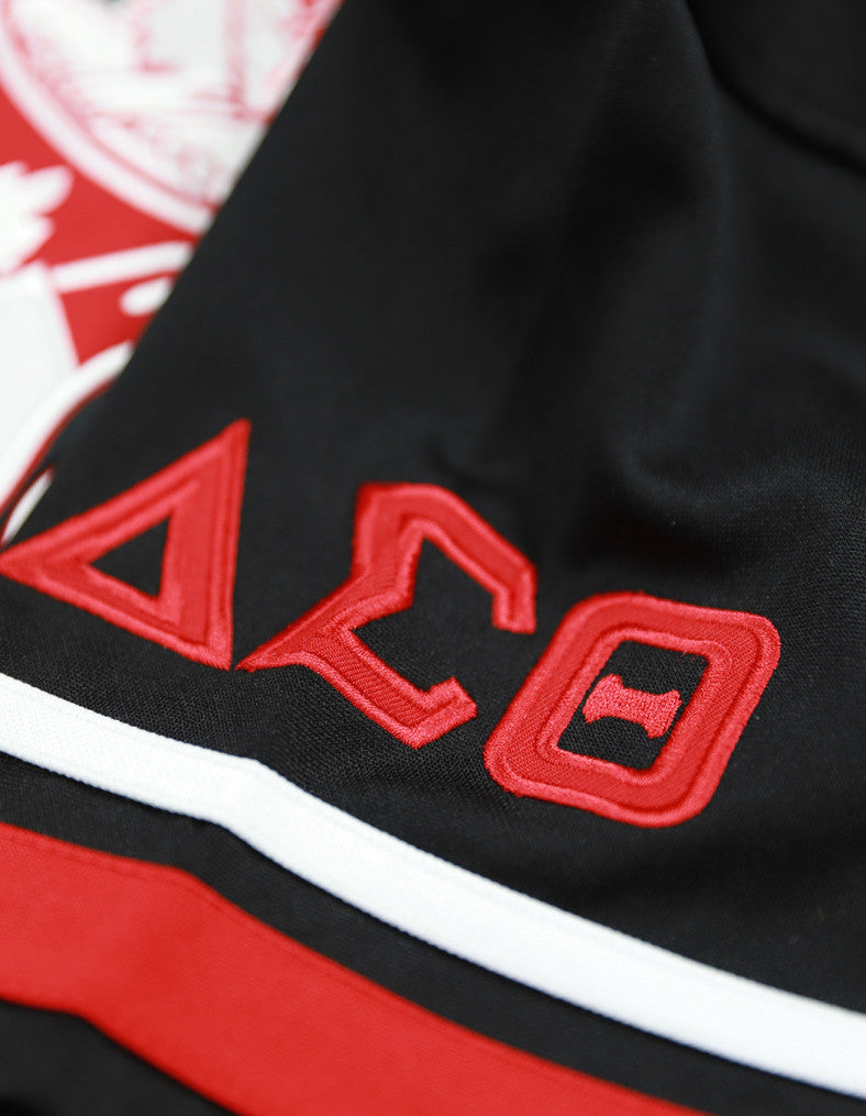 Delta Embroidered Crest Jersey