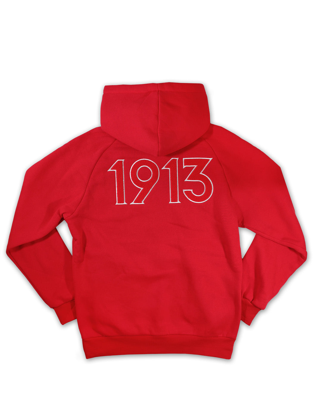 Delta Chenille Letter Hoodie