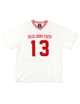 Delta Chenille Jersey