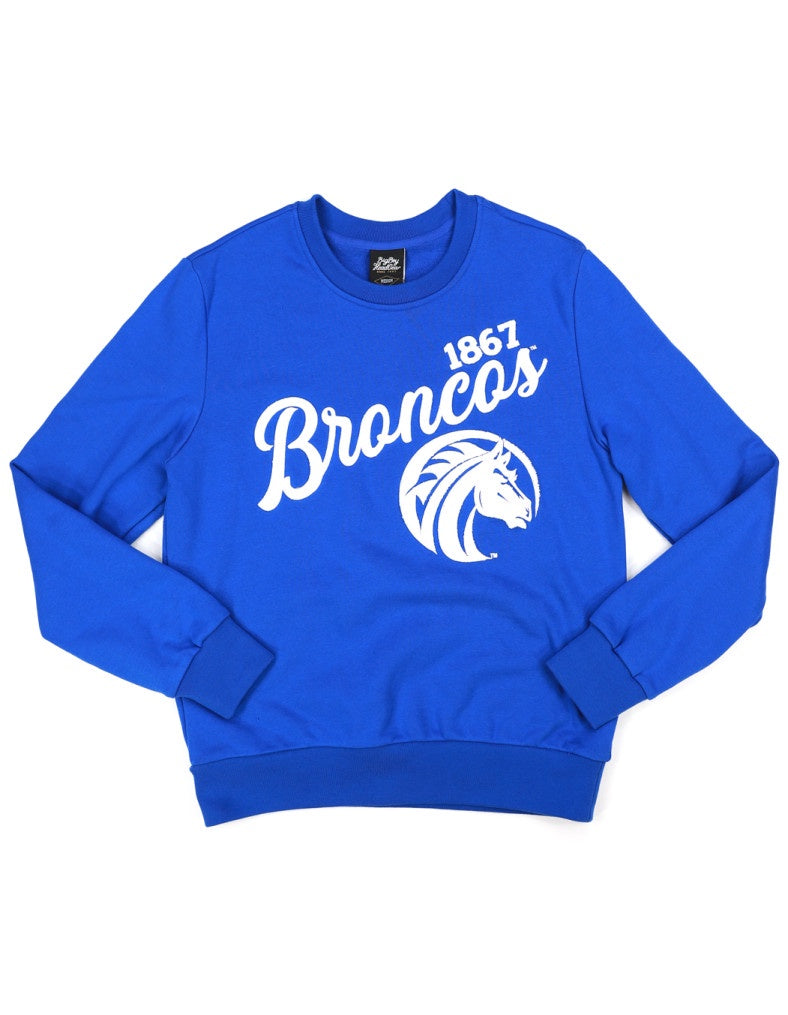 FSU Chenille Sweatshirt