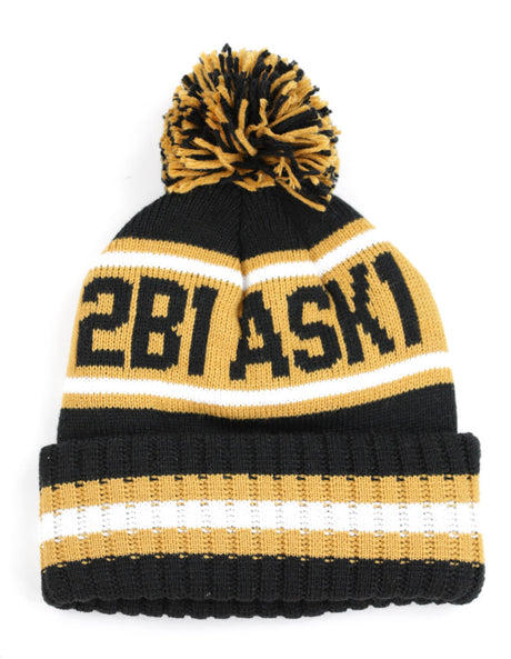 Mason Winter Beanie