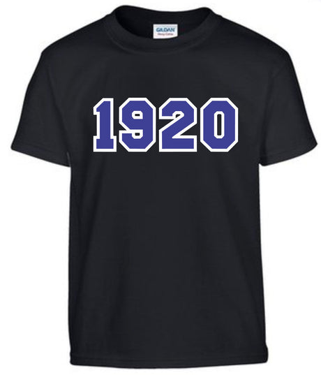 Zeta Phi Beta Greek Sorority Shirt