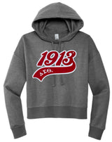 Delta Sigma Theta Greek Sorority Hoodie