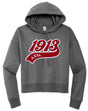 Delta Sigma Theta Greek Sorority Hoodie