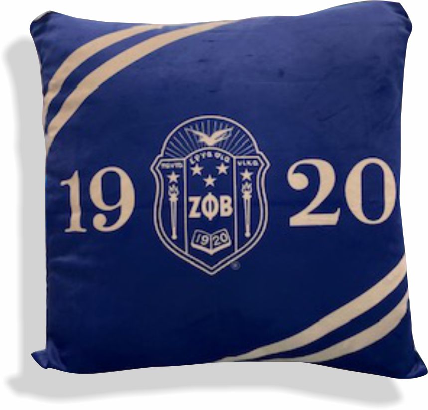 Zeta Velour Pillow Cover